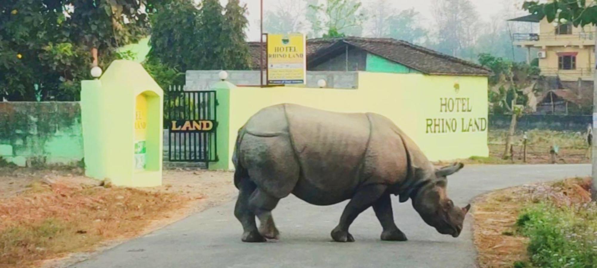 Hotel Rhino Land Sauraha Exterior foto