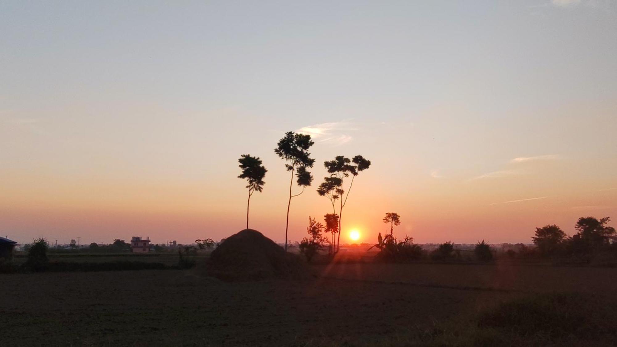 Hotel Rhino Land Sauraha Exterior foto